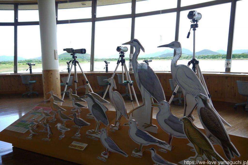 きらら浜自然観察公園